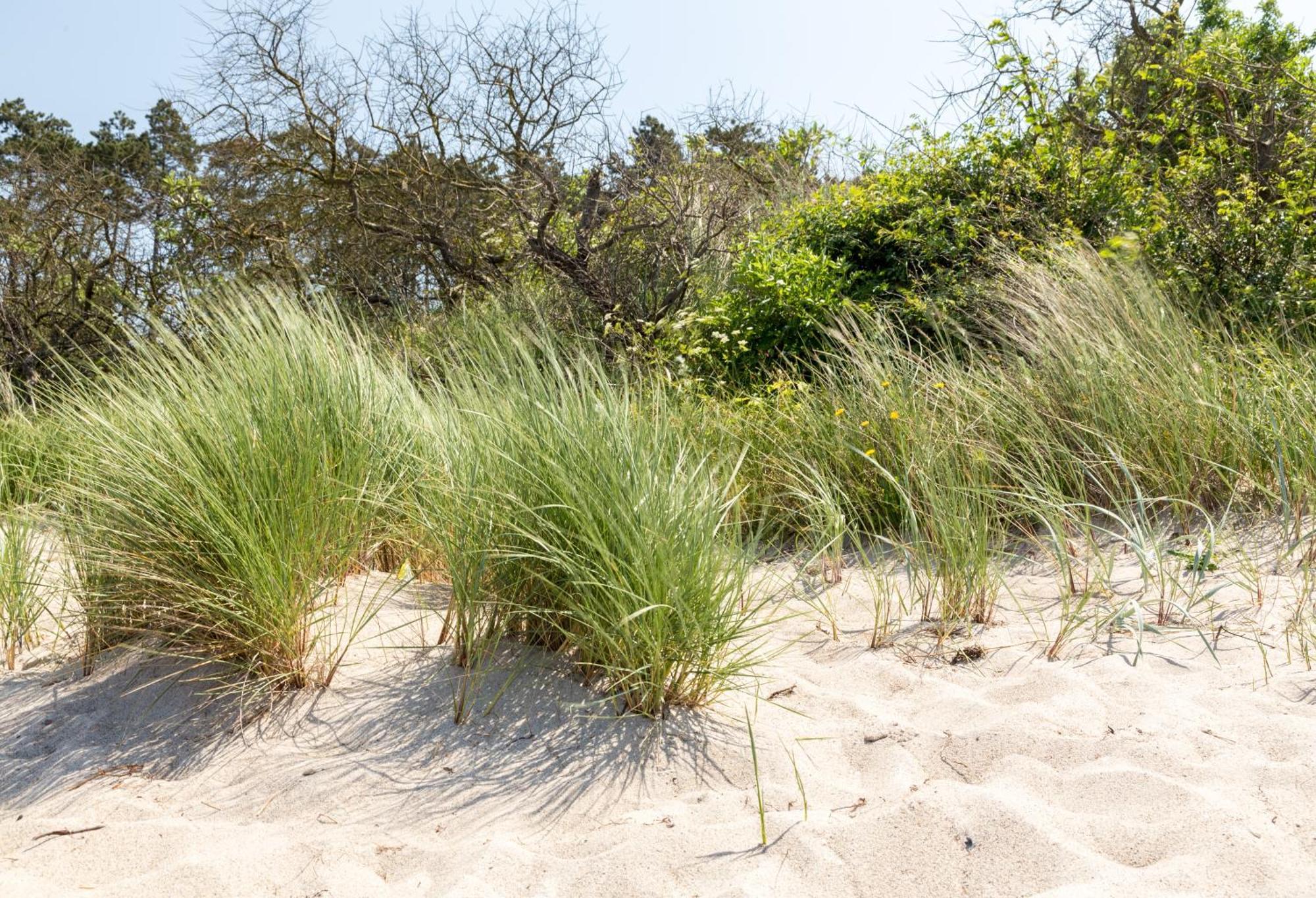 Villa Schmidt - Strandhaus Direkt Am Meer Mit Sauna, Sport Und Duenengarten II Rostock Kültér fotó